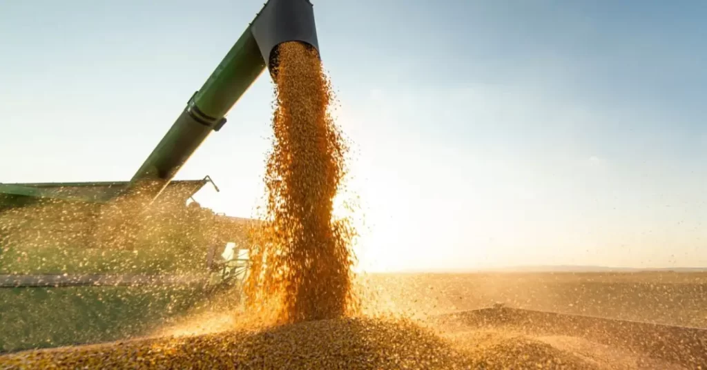 Como a locação ajuda a equilibrar o fluxo de caixa